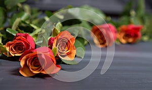 Few orange and red rose flowers on dark chalcboard surface. Bouquet on a blur abstract background with copy space.