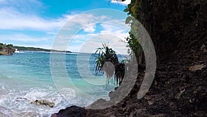 Few palm trees over tropical lagoon with white beach. Paradise island Nusa Lembongan, Bali, Indonesia. Blue water and