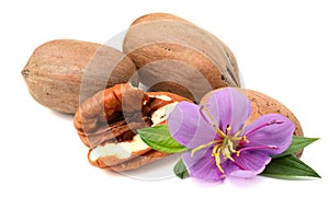 Few pecan nuts, one cracked.