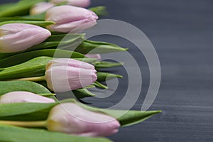 Few pink tulips flowers on dark chalcboard surface. Bouquet on a blur abstract background with copy space.