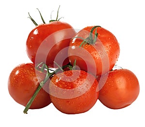 Few red fresh wet tomatoes