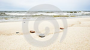 A few sea rocks on a sandy beach