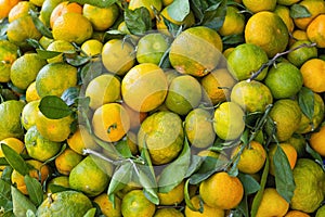 A few underripe tangerines in a wooden crate for sale