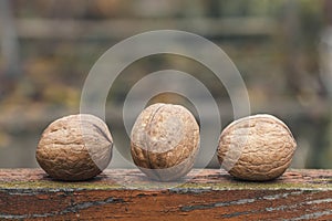A few walnuts. Walnuts close-up.