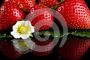 Few whole strawberries isolated with leaves on black