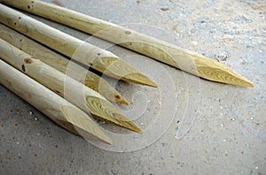 A few wooden stakes with spikes