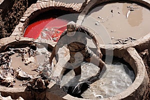 Fez, Morocco ancient leather tannery with man working