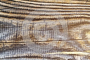 Ffilthy pine board with cracks