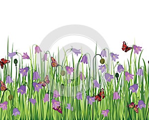 FFlower seamless border on white background. photo