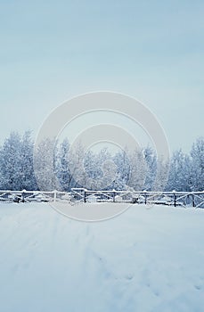 Fhoto of winterscape, white snow