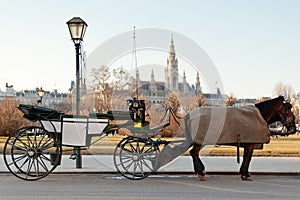 Fiaker carriage in Vienna, Austria photo