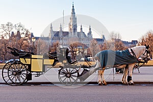 Fiaker carriage in Vienna, Austria photo