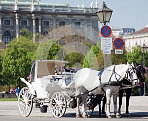 Fiaker, horsedrawn of Vienna photo