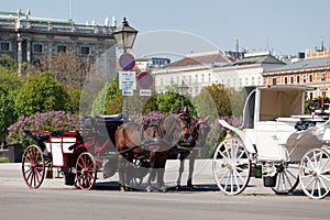 Fiaker, horsedrawn of Vienna photo