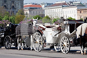 Fiaker, horsedrawn of Vienna photo