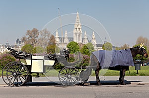 Fiaker, horsedrawn of Vienna photo