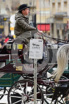 Fiaker horses in Vienna, Austria, Europe