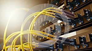 Fiber cables and path panel in rack