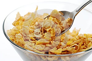 Fiber cereal photo