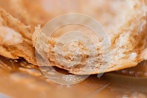 Fiber closeup of homemade fluffy bread hot out of the oven.