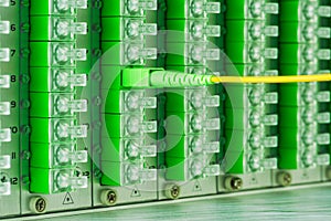 Fiber Optic Cable Connected to Distribution Frame