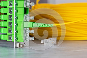 Fiber Optic Cable Connected to Distribution Frame of Passive Optical Network