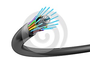 Fiber optic cable isolated from white background