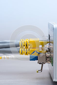 Fiber optic cable and network ethernet patch cord connect to the switch