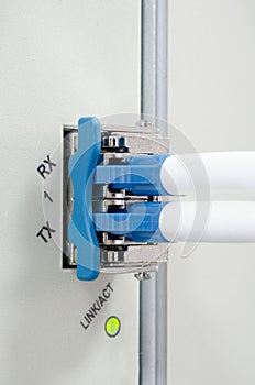 Fiber Optic cables connected to an optic ports