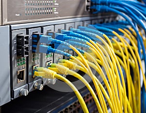 Fiber Optic cables connected to optic ports and UTP photo