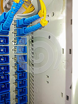 Fiber Optic Cables Connected to Patch Panel