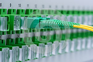 Fiber Optic Cables in the Optical Distribution Panel