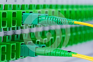 Fiber Optic Cables in the Optical Distribution Panel