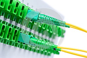 Fiber Optic Cables in the Optical Distribution Panel