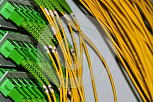 Fiber optic cables on the patch panel in the telecommunications cabinet transmit data on the IP protocol