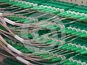 Fiber Optic Connectors in a panel