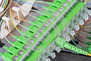 Fiber Optic Distribution Frame in Telecommunication Optical Network