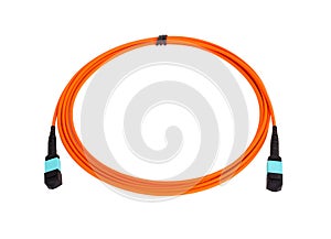 Fiber optic MTP (MPO) pigtail, patchcord connectors