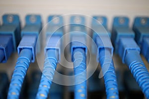 Fiber optic network cables connected to optical cross box close up