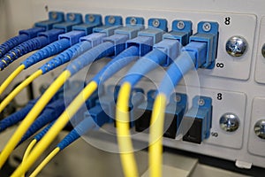 Fiber optic network cables connected to optical cross box close up