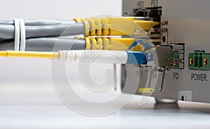 Fiber optic and network ethernet patch cord cable connect to the switch