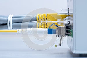 Fiber optic and network patch cord cable connect to the switch