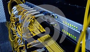 Fiber optical cables patch panel and switch.