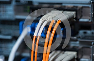 Fiber optical connections with servers