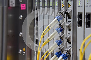 Fiber Optical connector interface for Cards Equipment DWDM telecommunications.(select focus)