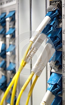 Fiber Optical connector interface for Cards Equipment DWDM telecommunications