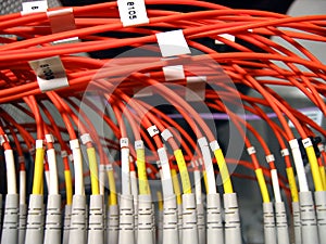 Fiber Optical Network