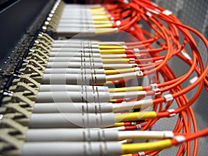 Fiber Optical Network photo