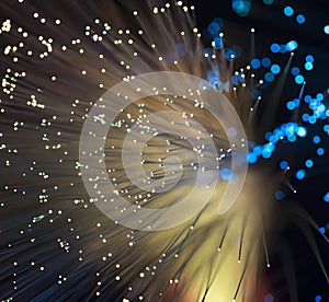 Fiber optical network cable