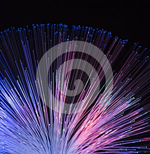 Fiber optics lights